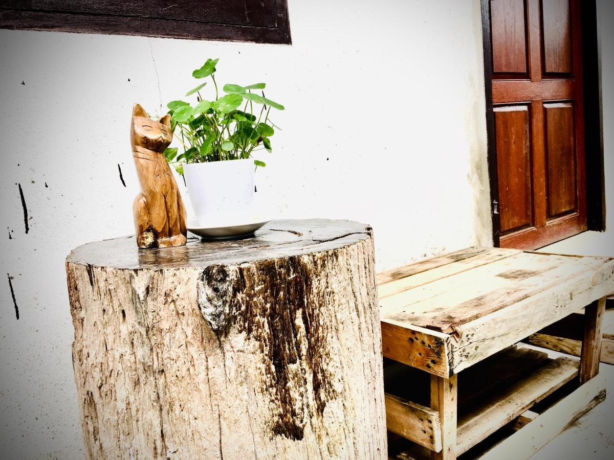 Saming Chiang Dao Guest House Экстерьер фото